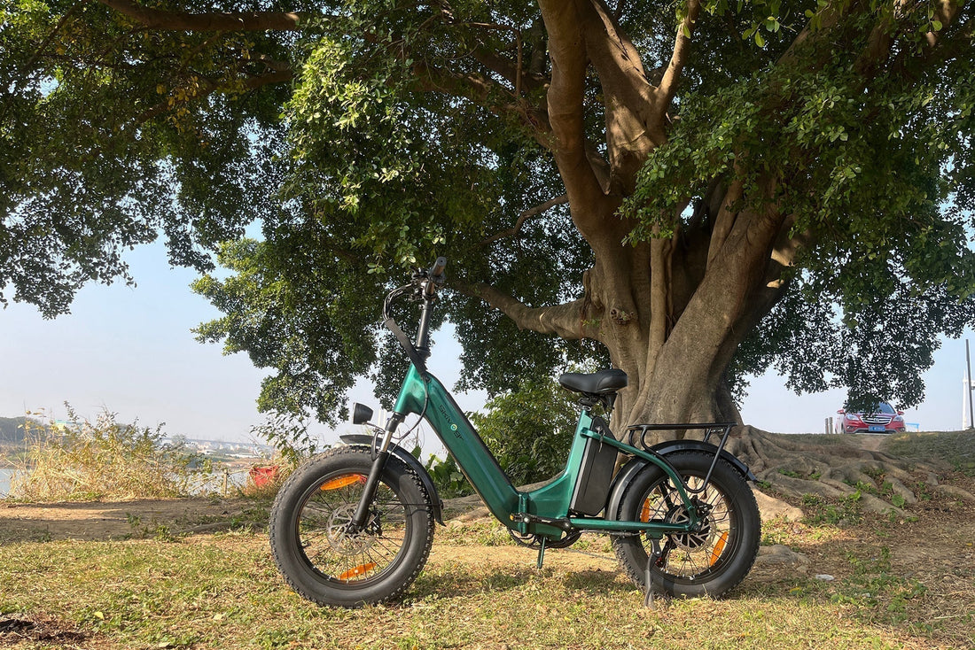 Power Your 2025 Cycling Plans with Skivogr E-Bikes