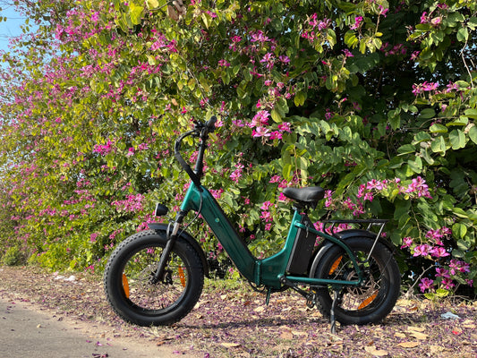 Power Your 2025 Cycling Plans with Skivogr E-Bikes