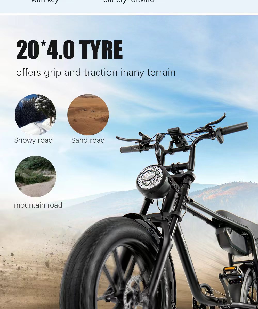 K20 750W Electric bike, 20×4.0 Fatbike,48V 15/17Ah Ebike