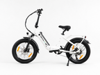 Skivogr S20 E Bike