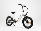 Skivogr S20 E Bike